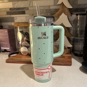Stanley Mint Green Quencher H2.0 Tumbler with Straw